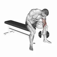 Pronated Dumbbell Concentration Curl