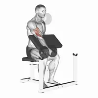 Pronated Dumbbell Scott Bench Curl