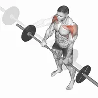 Pronated Front Raise with Bar