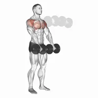 Pronated Front Raises with Dumbbells