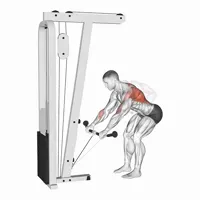 Pronated Lower Row on Low Pulley