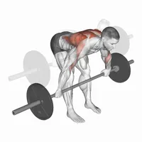 Pronated Open Barbell Row