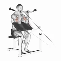 Pronated Scott Bench Curl with Pulley