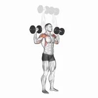 Prone Dumbbell Military Press