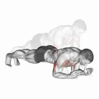Flexiones sobre los codos