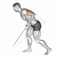 Rear Kicks on Pulley
