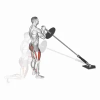 Rear Stride on Toe