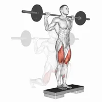 Rear Stride with Bar
