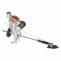 Rowing at Pointe