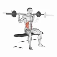 Seated waist twists with bar