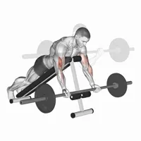 Spider Curl in Supination with Barbell