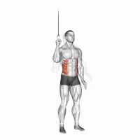 Standing Lateral Crunch on High Pulley