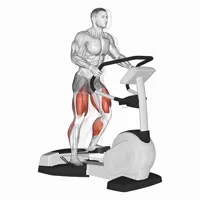 Step machine