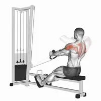 Superior Horizontal Rowing with Rope on Pulley