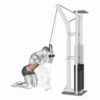 Superior Knee Crunch with Pulley
