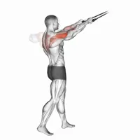 Superior Rowing with Bands