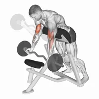 Supinated downward curl with Z bar