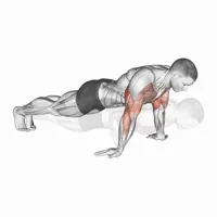 Flexiones en supinación