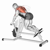 T Bar Row in Supination