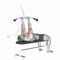Vertical Supinated Curl with Pulley