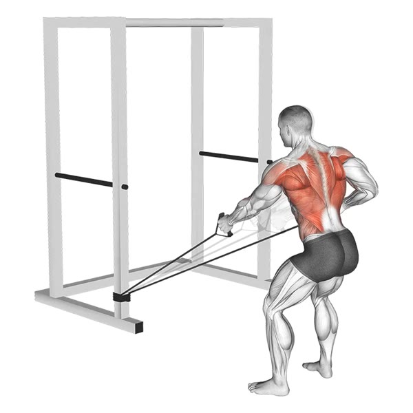 Alternating Decline Rowing with Bands — ejercicio de Espalda, nivel Intermedio