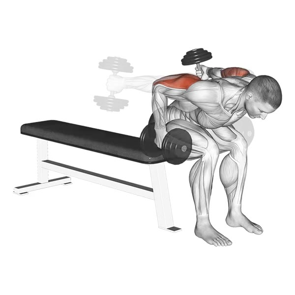Alternating Dumbbell Rear Kicks — ejercicio de Hombros, nivel Intermedio