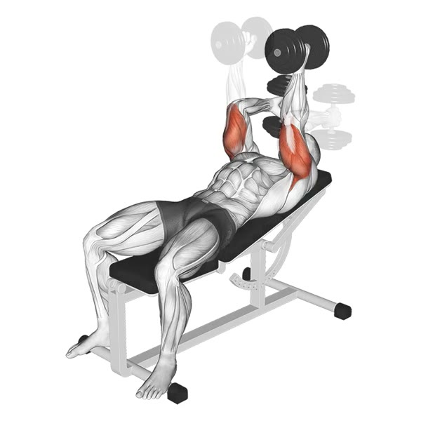 Alternating Incline French Press with Dumbbells — ejercicio de Tríceps, nivel Intermedio