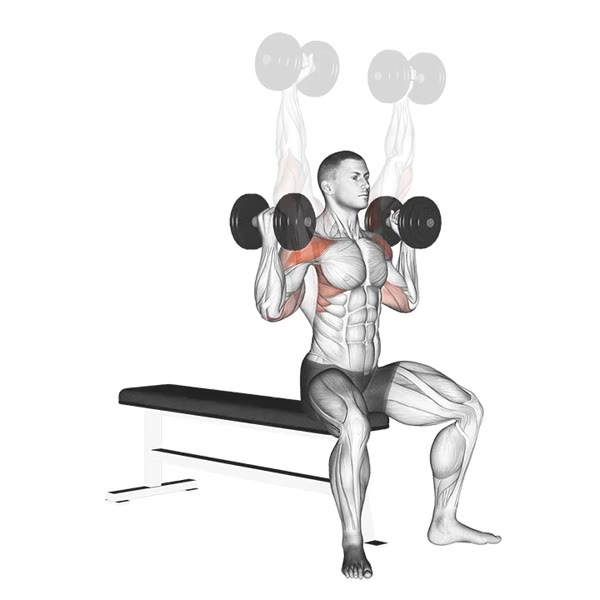 Arnold Press Open with Dumbbells — ejercicio de Hombros, nivel Intermedio