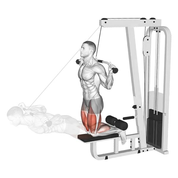 Assisted Free Leg Curl with Pulley — ejercicio de Bíceps, nivel Principiante
