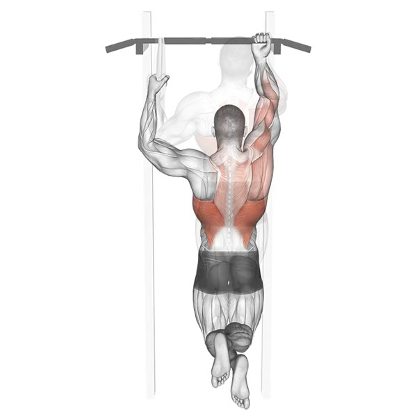 Assisted one handed pull up — ejercicio de Espalda, nivel Principiante