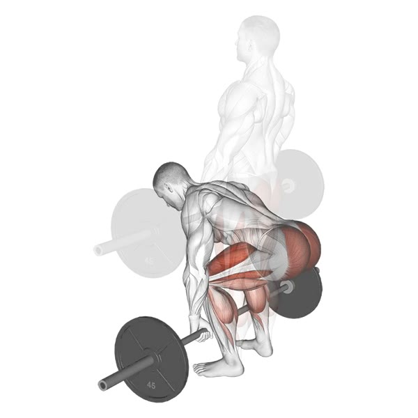 Barbell Deadlift — ejercicio de Pierna, nivel Intermedio