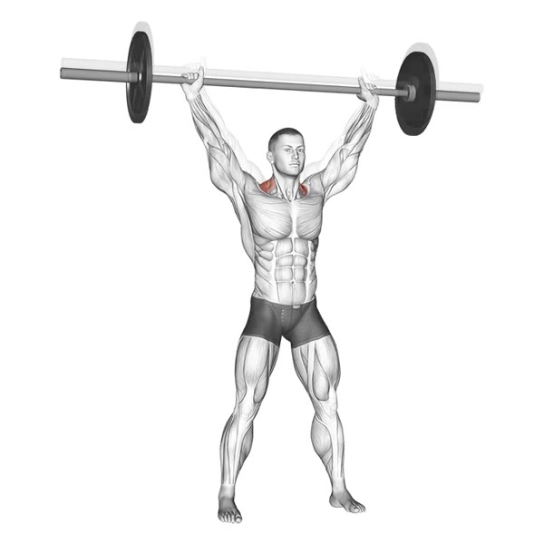 Barbell Military Press Shrugs — ejercicio de Hombros, nivel Intermedio