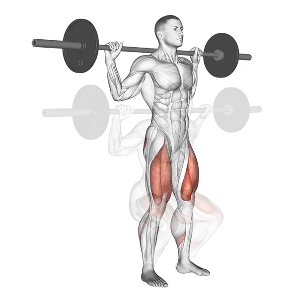 Barbell Squat — ejercicio de Pierna, nivel Intermedio