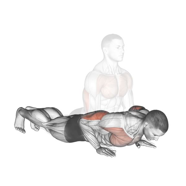 Basic Push ups — ejercicio de Pecho, nivel Principiante