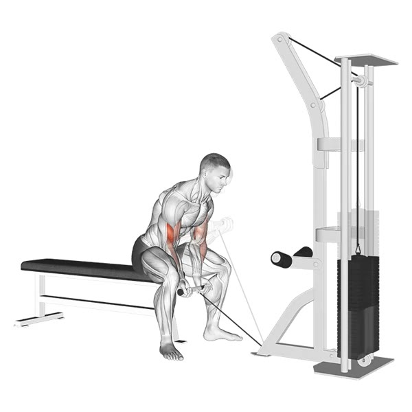 Close Concentration Curl on Low Pulley — ejercicio de Bíceps, nivel Intermedio
