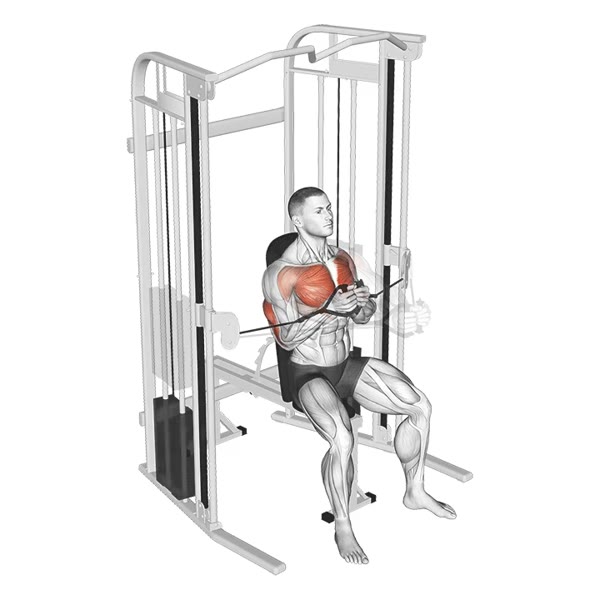 Close Grip Front Press with Pulleys — ejercicio de Antebrazo, nivel Intermedio