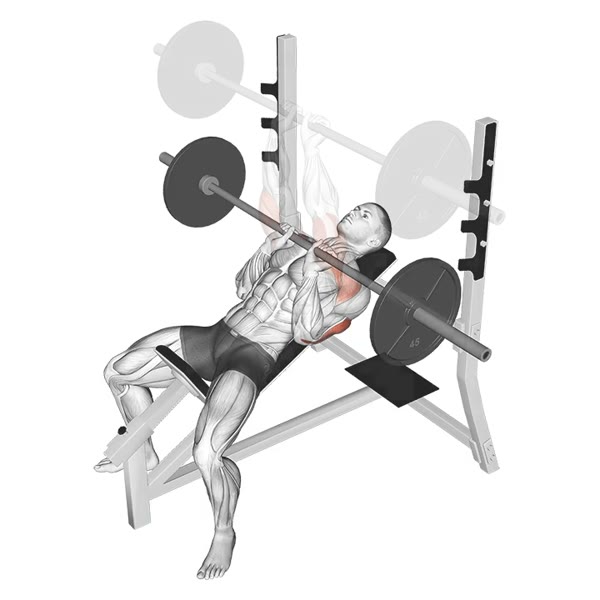 Close grip Incline Barbell Press — ejercicio de Antebrazo, nivel Intermedio