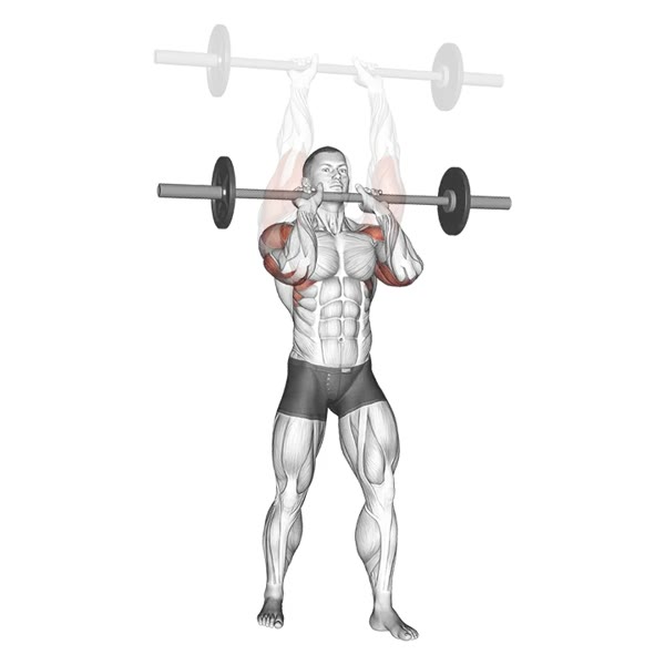 Close Military Press with Barbell — ejercicio de Hombros, nivel Principiante