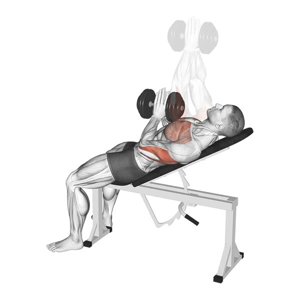 Close Neutral Angle Incline Dumbbell Press — ejercicio de General, nivel Intermedio