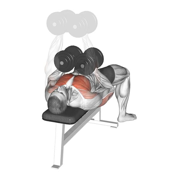 Close Neutral Grip Dumbbell Press — ejercicio de Antebrazo, nivel Intermedio