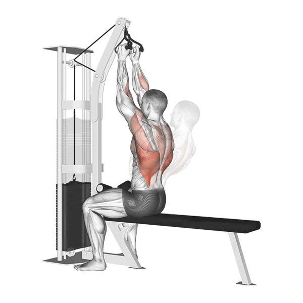 Close Neutral Pulldown with Incline on High Pulley — ejercicio de Espalda, nivel Intermedio