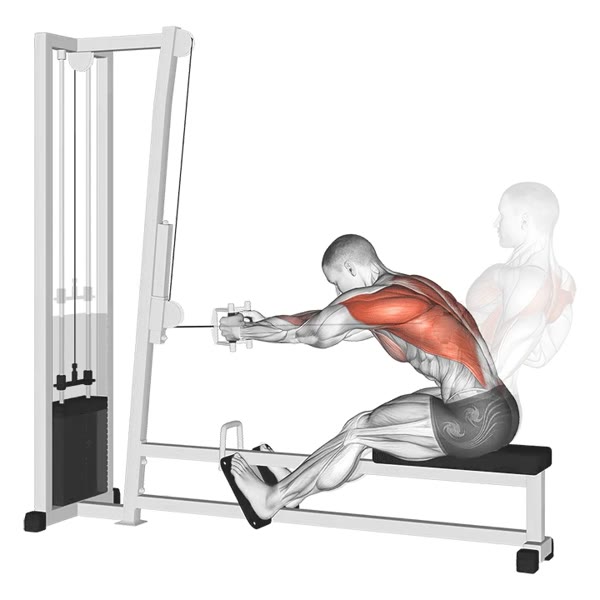 Close Neutral Wide Horizontal Row on Pulley — ejercicio de Espalda, nivel Intermedio