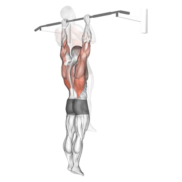 Close Pull Up — ejercicio de Espalda, nivel Intermedio