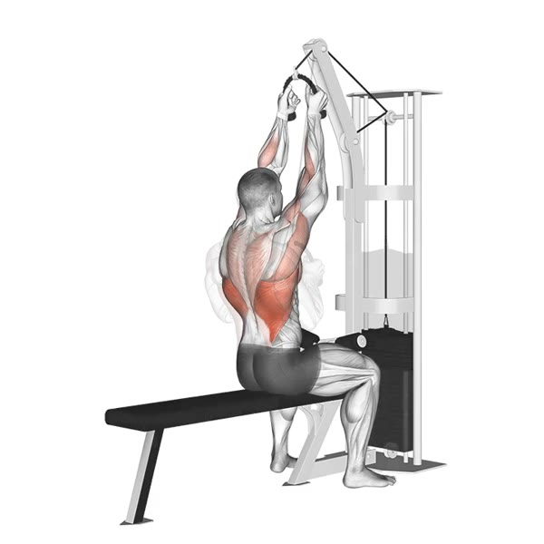 Close Pull with Rope on High Pulley — ejercicio de General, nivel Intermedio