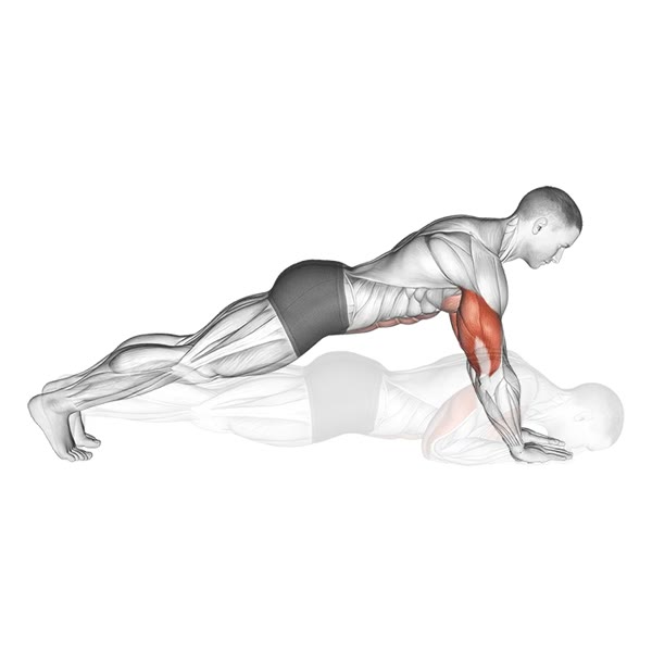 Close Push-ups — ejercicio de Tríceps, nivel Intermedio