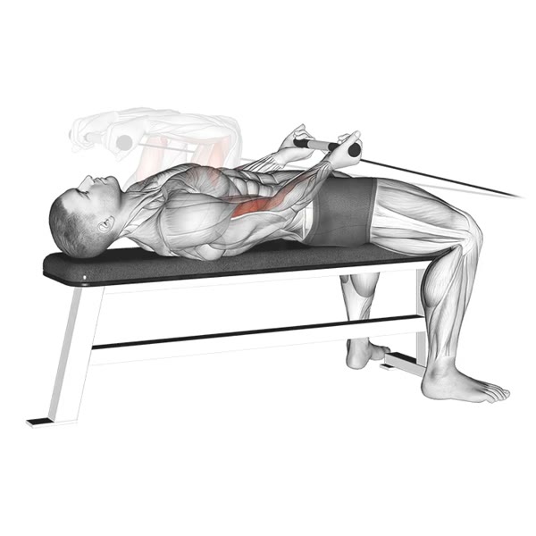 Close Supinated Horizontal Curl with Pulley — ejercicio de Bíceps, nivel Intermedio