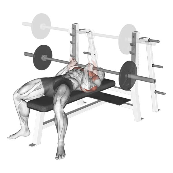 Close Supination Barbell Press — ejercicio de General, nivel Intermedio