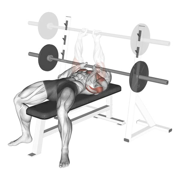 Closed Barbell Press — ejercicio de General, nivel Intermedio