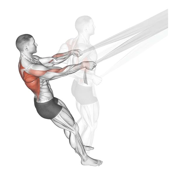 Closed Incline Free Row with Rope — ejercicio de Espalda, nivel Intermedio