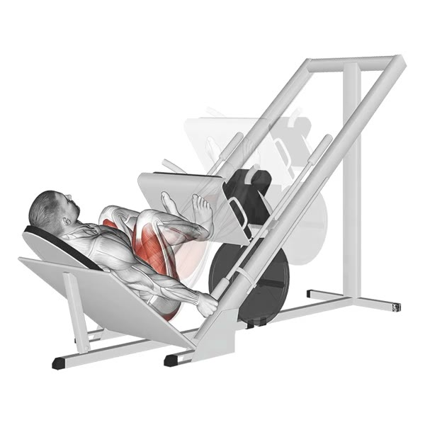 Closed Inclined Press — ejercicio de General, nivel Intermedio